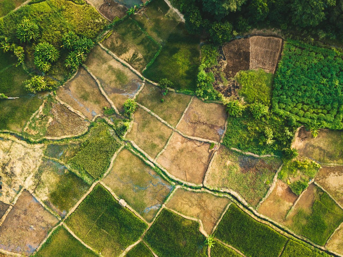 Ambito Rural Risk reduction in rural areas - 3a Green Planet